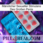 Männlicher Sexueller Stimulans Des Großen Penis new14